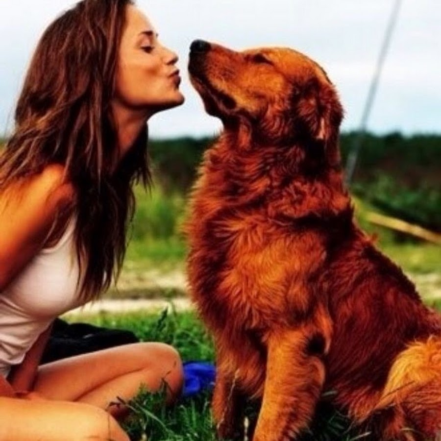 Фулл девушки с собакой. Девушка с собакой. Красивые фотосессии собак. Красивая женщина с собакой. Фотосессия с собакой.