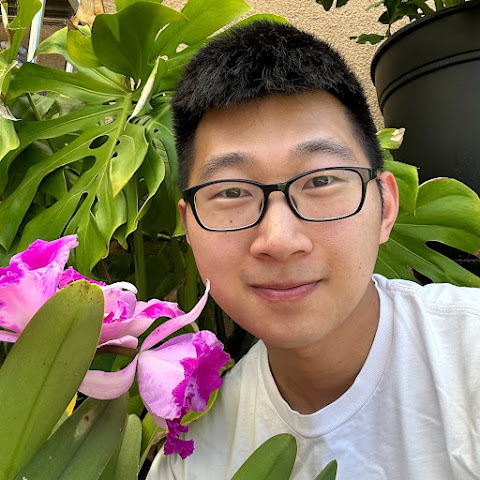 influencer profile picture