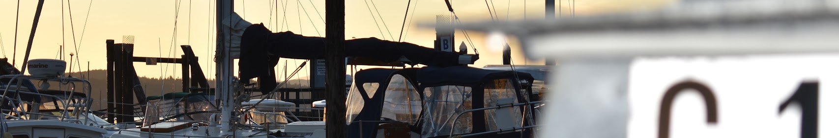 sailingsphynx