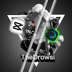 TheDrowsi