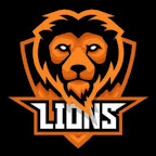 Lions Team DLSツ