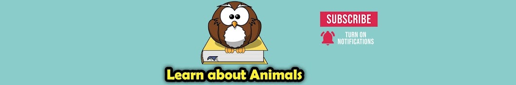 Learn about Animals