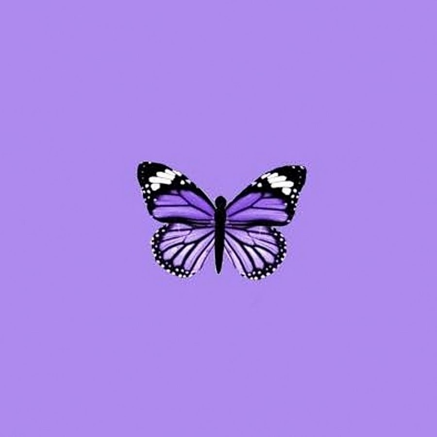 Фиолетовая бабочка на зеленом фоне