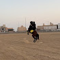 يوميات خيل 🐎