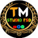 TM STUDIO FSD  