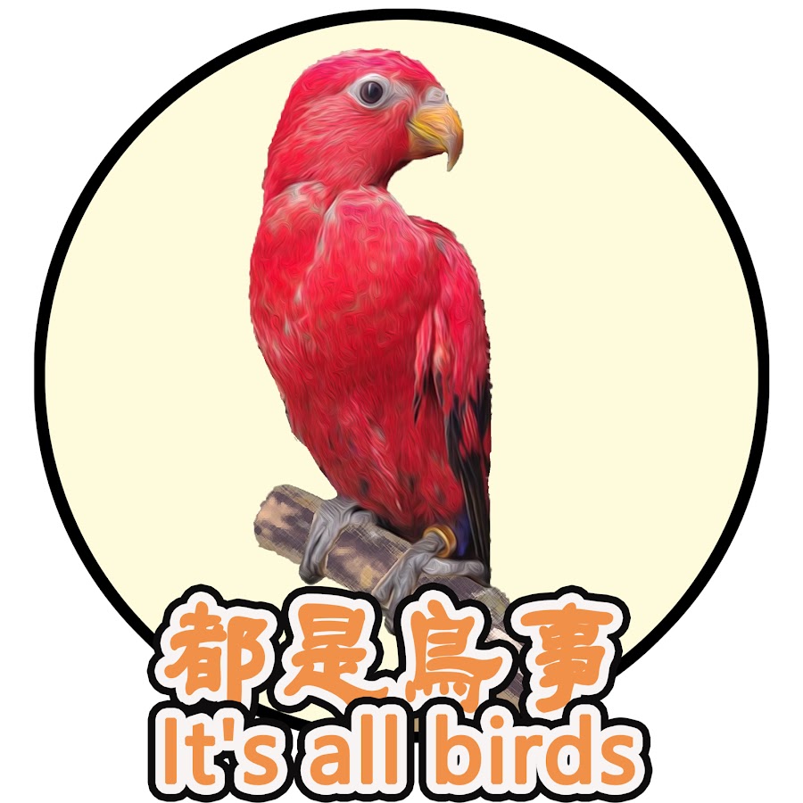 都是鳥事_Its_all_birds