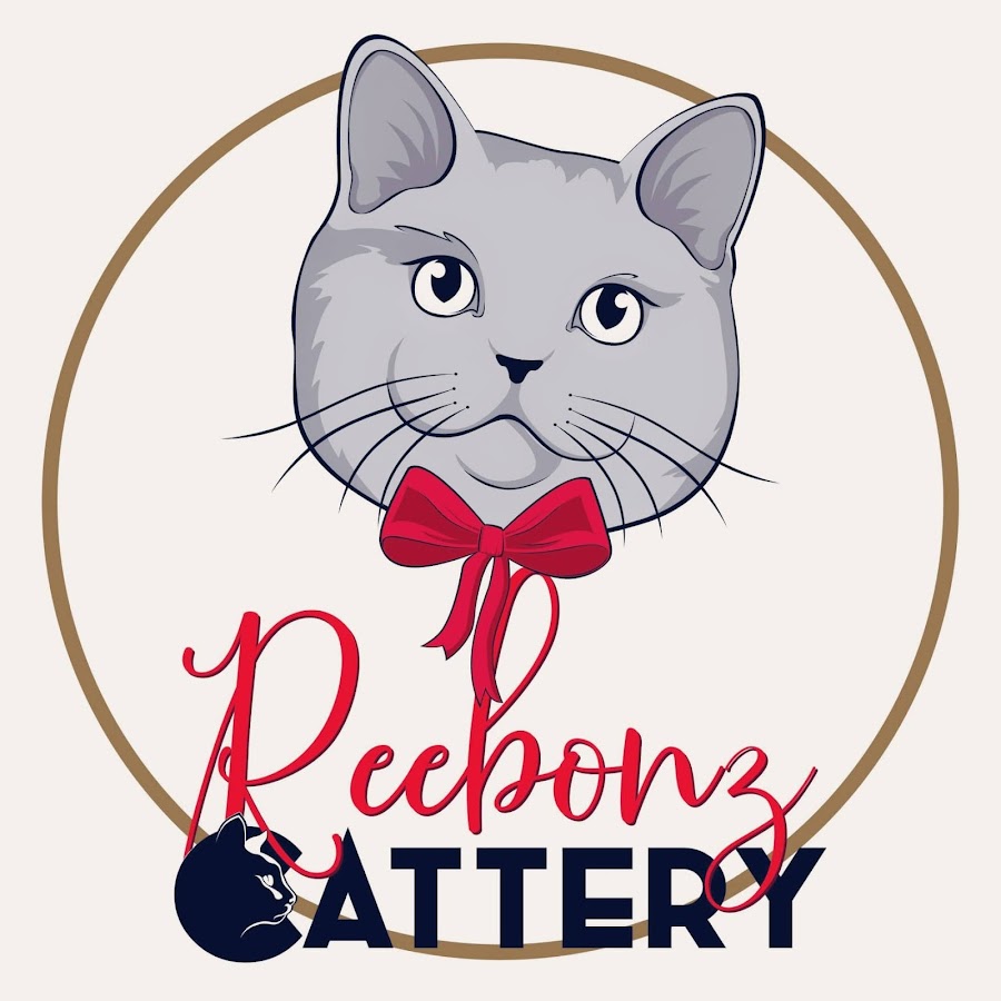 Reebonz Cattery TV