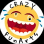 Crazy FunArts