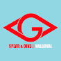 SPEAR & DIVE VALGOVAL - VALORAMAFILMS® -