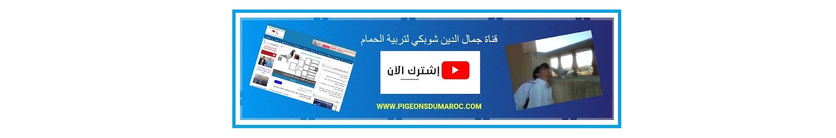 Pigeons du Maroc et Colombophilie Marocaine BUuhzHSL3uLPz2bdyUR4z6ZCTpJGn7Jeiqc4cm15sHGdad-P3UMYeCL3vuB8TeE9xNREai0s3Q=w1707-fcrop64=1,00005a57ffffa5a8-k-c0xffffffff-no-nd-rj