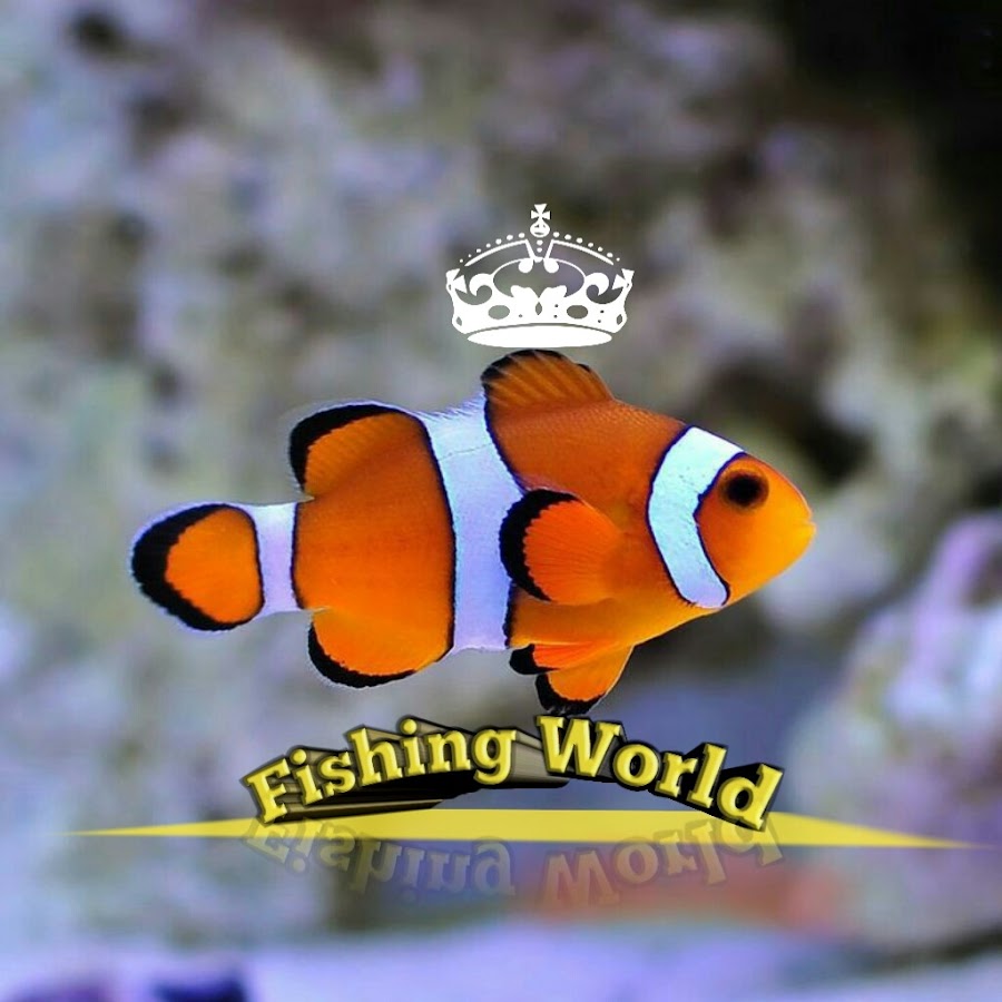 Amazing Fish Hunting Video