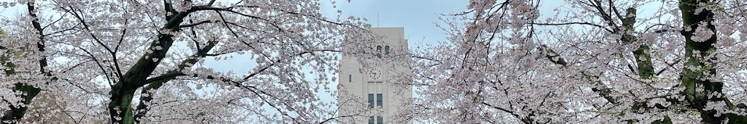 Kazu Sekizawa - Nuclear Physicist at Science Tokyo