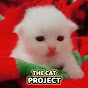 The Cat Project