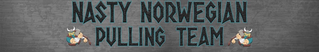 Nasty Norwegian Banner