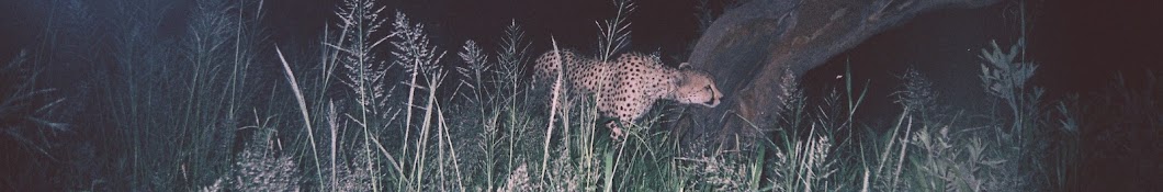 Cheetah Conservation Fund Banner