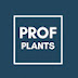 Professeur Plants