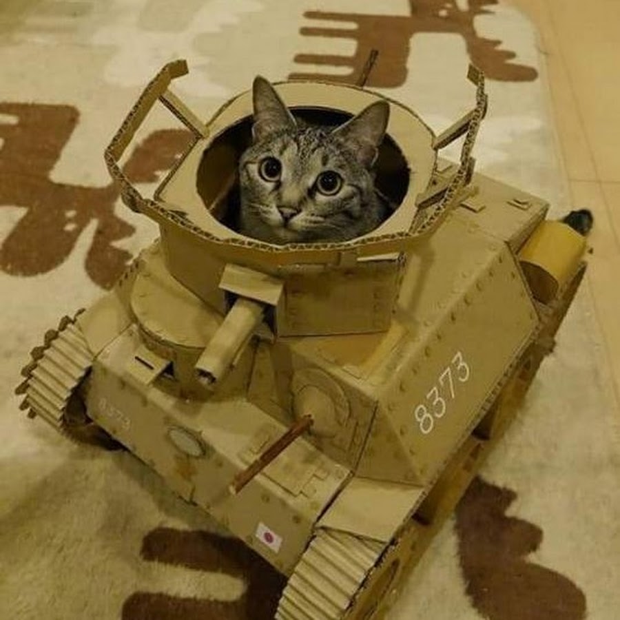 Коты танкисты