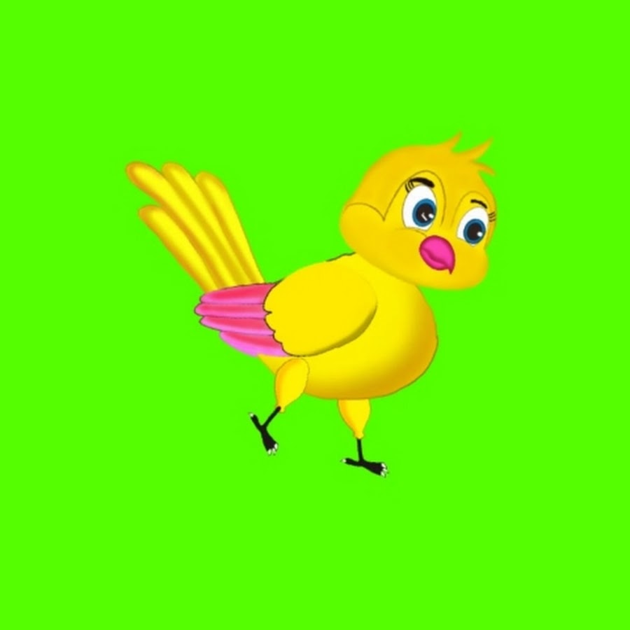 Cartoon Bird story - YouTube