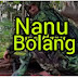 Nanu bolang