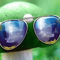 Artist Thumbnail