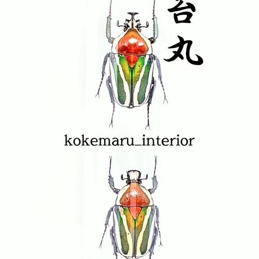 masa様専用◇I-40☆昆虫標本 素早