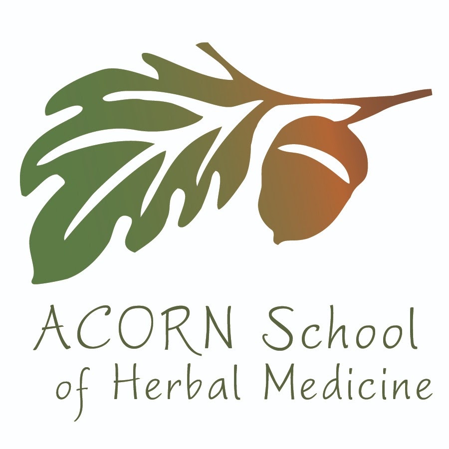 Nettle  ACORN Herb School