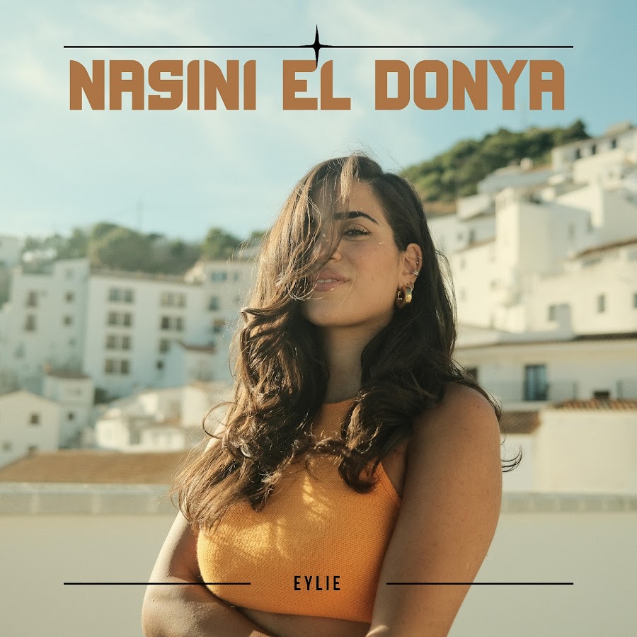 Насини Эль дунья. Nasini el Donya текст. Nasini el Donya (Cover) Ali Lebanese перевод. Nasini el Donya заказать.