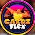 Cardz Flex