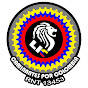 León caminantes por Colombia