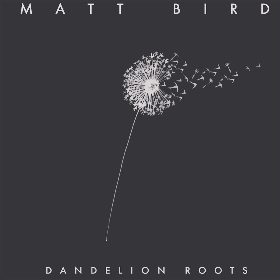 Matt bird