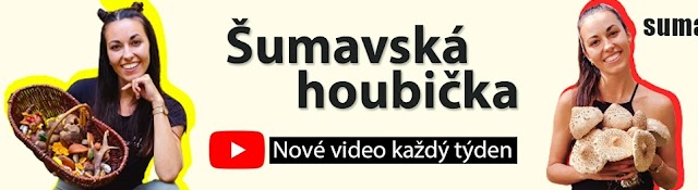 Šumavská Houbička