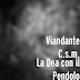 Viandante C.s.m. - Topic