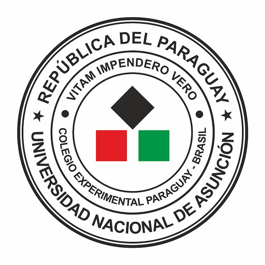 escuela experimental paraguay brasil