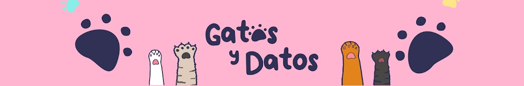 Gatos Datos