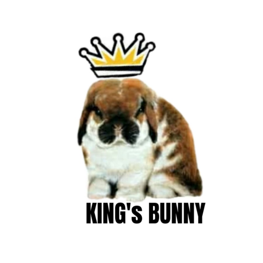 King's Bunny @KingsBunny