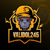 logo ValiDol245