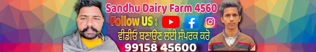 Sandhu dairy farm 4560