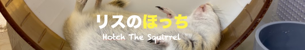 リスのほっち / Hotch The Squirrel