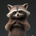 logo Raccoon Anderson