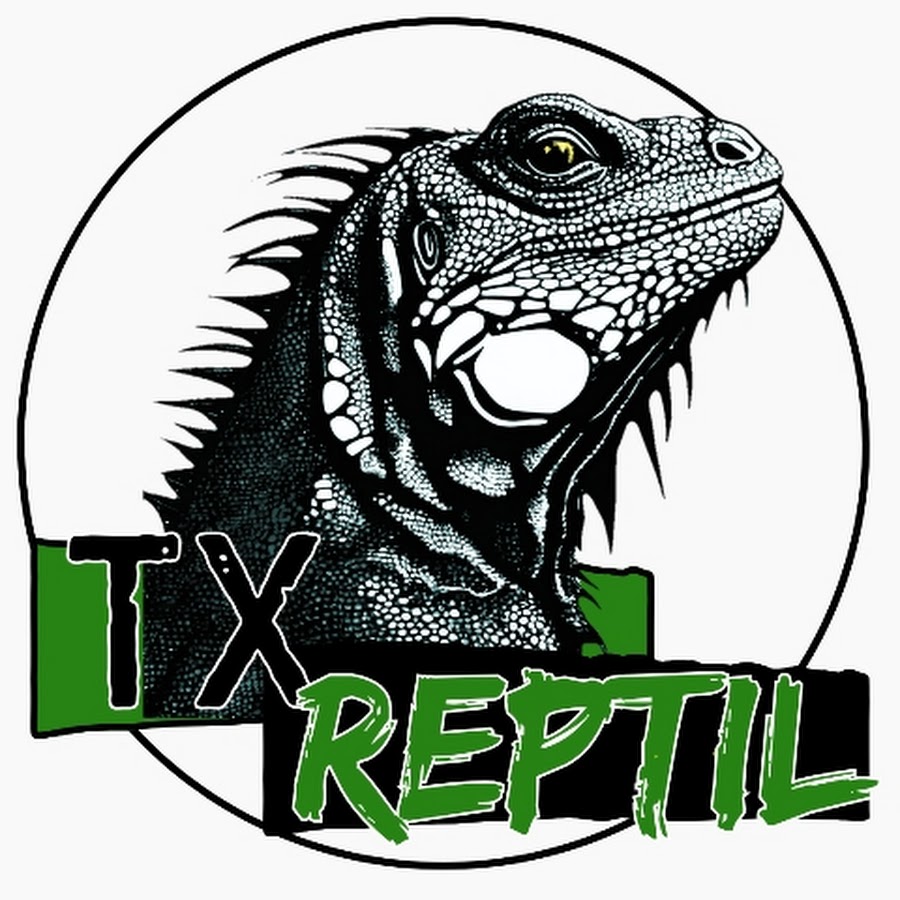 TX Reptil @TXReptil