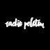 Radio Peloton