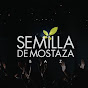 Semilla de Mostaza Baz