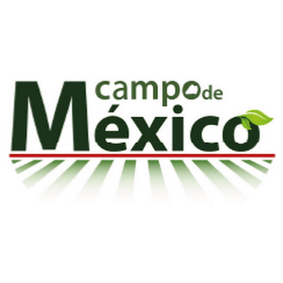 Campo de México @CampodeMexico