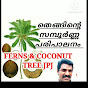 FERNS AND COCONUT TREE JPJ