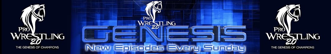 Pro Wrestling 2.0 Banner