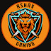 logo Ashav Gaming