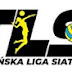 Trzebińska Liga Siatkówki