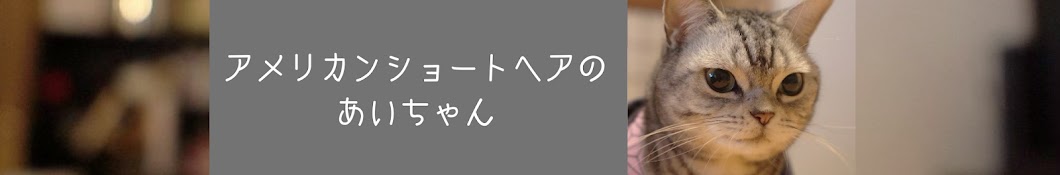 あいちゃんと愉快な仲間たち