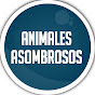 Animales Asombrosos REM