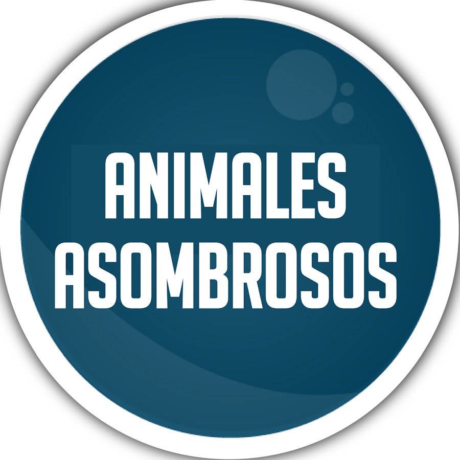 Animales Asombrosos REM